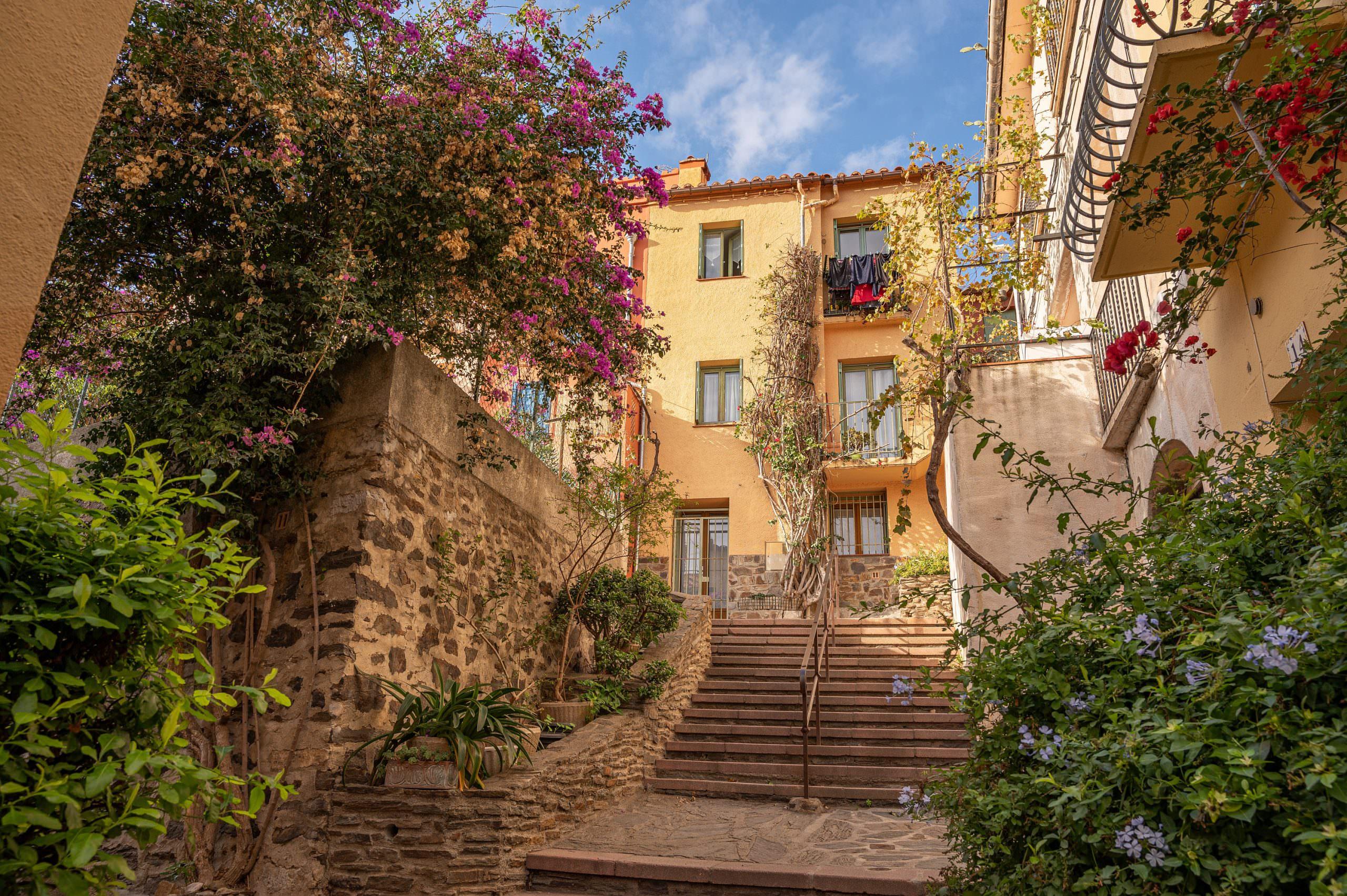 Aide aux seniors Argelès-sur-Mer